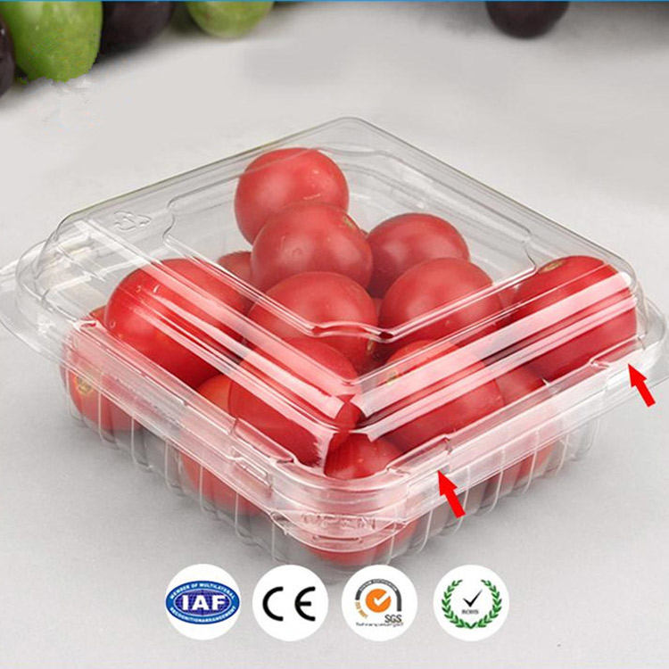  EVOH High Barrier Apet Plastic Sheet for Food Packaging-001