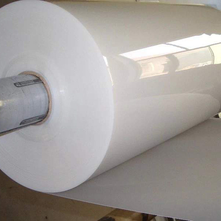  China Plastic PP Roll - EVOH PP Sheet Wholesale Factory Price-002