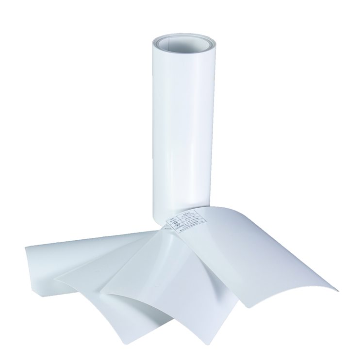  Bulk Plastic Evoh Polypropylene Roll for Food Packaging-001